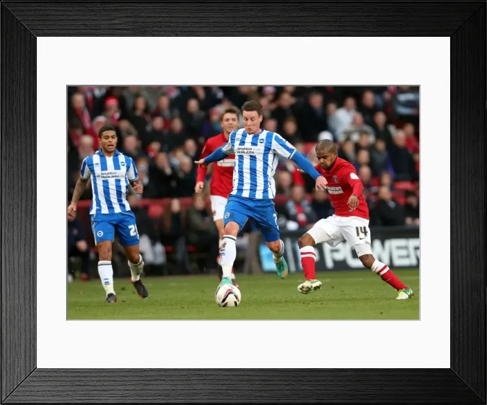 Framed Print : Will Hoskins in Action: Brighton & Hove Albion vs Charlton Athletic, December 8, 2012
