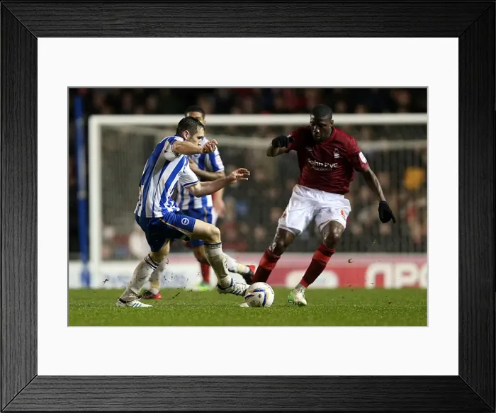 Framed Print : Brighton Forest 121215 Framed Print : Brighton Forest 121215