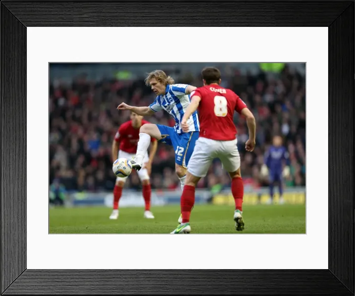 Framed Print : Brighton & Hove Albion's Craig Mackail-Smith in Action Against Nottingham Forest, December 15, 2012 Framed Print : Brighton & Hove Albion's Craig Mackail-Smith in Action Against Nottingham Forest, December 15, 2012