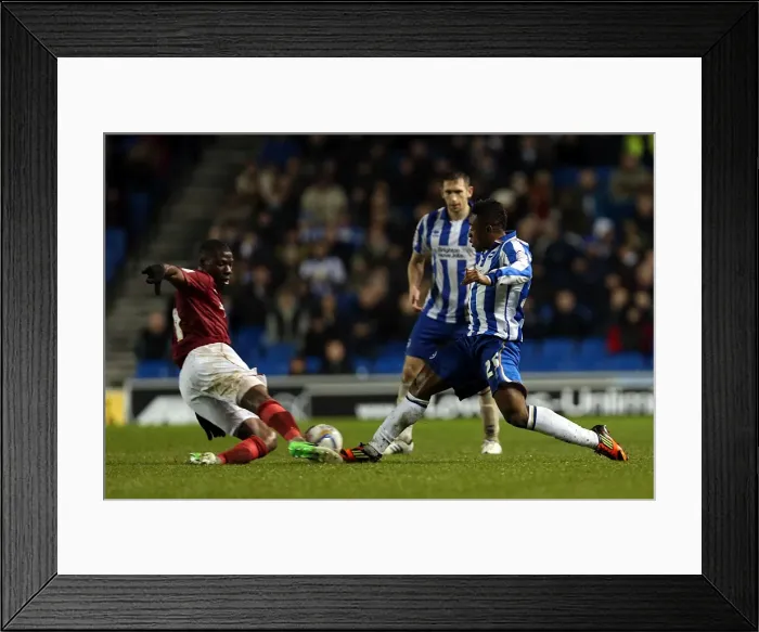 Framed Print : Brighton & Hove Albion's Kazenga LuaLua in Action Against Nottingham Forest, Npower Championship, Amex Stadium, December 15, 2012 Framed Print : Brighton & Hove Albion's Kazenga LuaLua in Action Against Nottingham Forest, Npower Championship, Amex Stadium, December 15, 2012