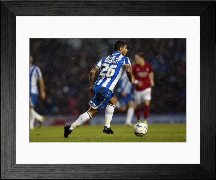 Framed Print : Liam Bridcutt's Intense Performance: Brighton & Hove Albion vs Nottingham Forest, Npower Championship, Amex Stadium, December 15, 2012 Framed Print : Liam Bridcutt's Intense Performance: Brighton & Hove Albion vs Nottingham Forest, Npower Championship, Amex Stadium, December 15, 2012
