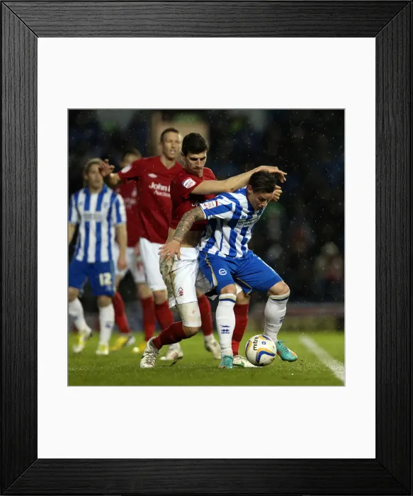 Framed Print : Brighton & Hove Albion's Will Hoskins Amongst the Forest: Npower Championship Clash vs Nottingham Forest (15-12-2012) Framed Print : Brighton & Hove Albion's Will Hoskins Amongst the Forest: Npower Championship Clash vs Nottingham Forest (15-12-2012)