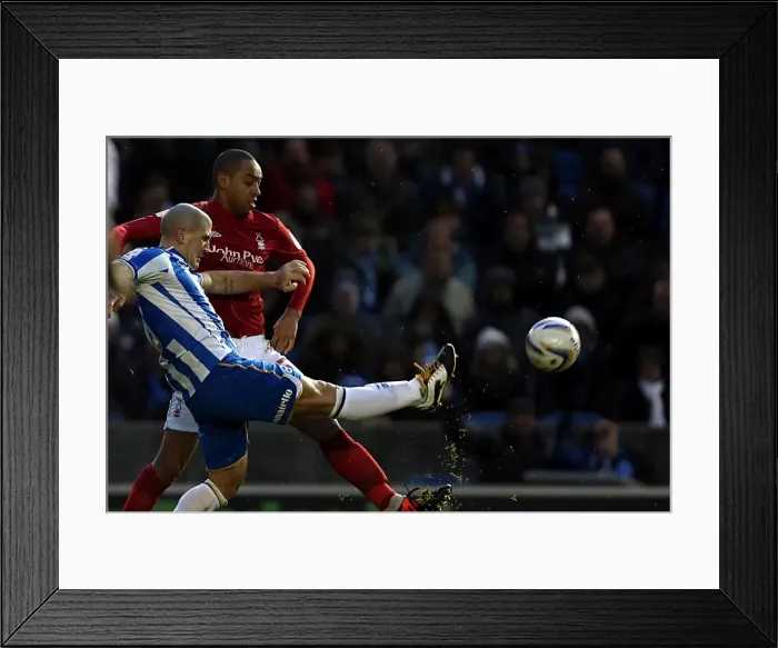 Framed Print : Adam El-Abd Defending: Brighton & Hove Albion vs. Nottingham Forest, Npower Championship, December 15, 2012 (Amex Stadium) Framed Print : Adam El-Abd Defending: Brighton & Hove Albion vs. Nottingham Forest, Npower Championship, December 15, 2012 (Amex Stadium)