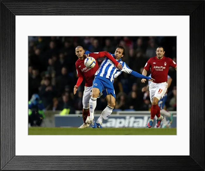 Framed Print : Inigo Calderon in Action: Brighton & Hove Albion vs Nottingham Forest, December 15, 2012, Amex Stadium Framed Print : Inigo Calderon in Action: Brighton & Hove Albion vs Nottingham Forest, December 15, 2012, Amex Stadium