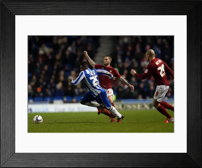 Framed Print : Kazenga LuaLua: In Action for Brighton & Hove Albion Against Nottingham Forest, Npower Championship, Amex Stadium, December 15, 2012 Framed Print : Kazenga LuaLua: In Action for Brighton & Hove Albion Against Nottingham Forest, Npower Championship, Amex Stadium, December 15, 2012