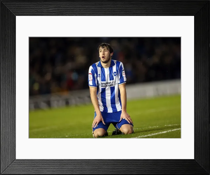 Framed Print : Brighton Forest 121215 Framed Print : Brighton Forest 121215