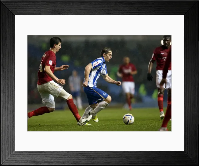 Framed Print : Brighton & Hove Albion vs. Nottingham Forest (15-12-2012) - A Glimpse into the 2012-13 Home Season Framed Print : Brighton & Hove Albion vs. Nottingham Forest (15-12-2012) - A Glimpse into the 2012-13 Home Season