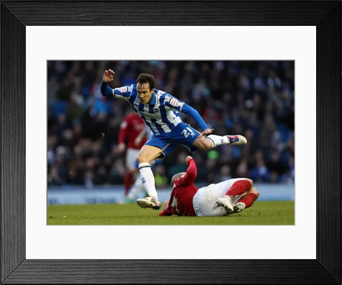 Framed Print : Brighton & Hove Albion vs. Nottingham Forest (15-12-2012) - A Glimpse into the 2012-13 Home Season Framed Print : Brighton & Hove Albion vs. Nottingham Forest (15-12-2012) - A Glimpse into the 2012-13 Home Season