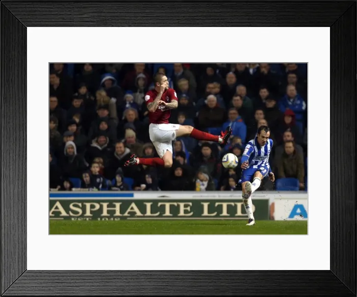 Framed Print : Brighton & Hove Albion vs. Nottingham Forest (15-12-2012): A Glimpse into the 2012-13 Home Season Framed Print : Brighton & Hove Albion vs. Nottingham Forest (15-12-2012): A Glimpse into the 2012-13 Home Season