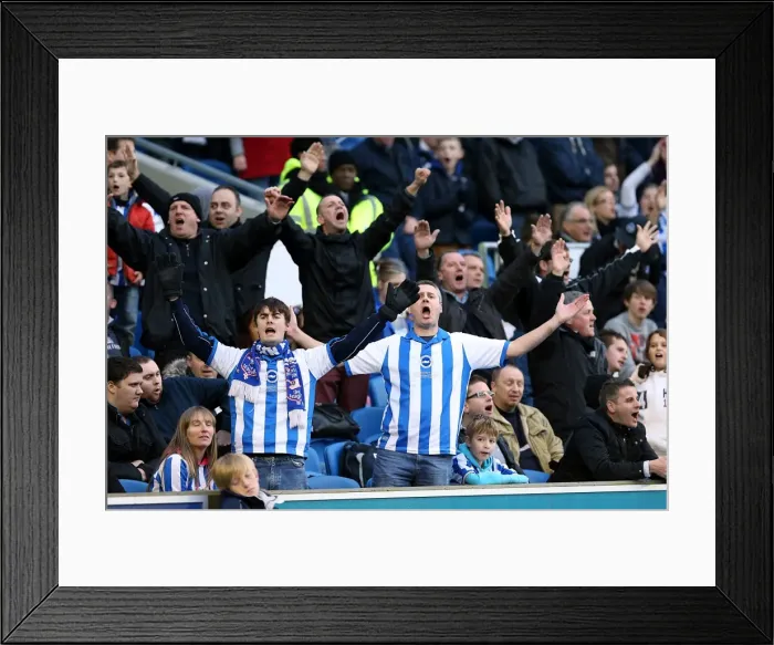Framed Print : Brighton & Hove Albion 2012-13 Home Season: Nottingham Forest Match Framed Print : Brighton & Hove Albion 2012-13 Home Season: Nottingham Forest Match