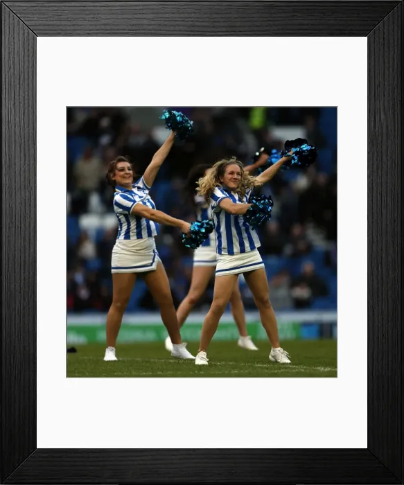 Framed Print : Brighton & Hove Albion vs. Nottingham Forest (15-12-2012) - A Glimpse into the 2012-13 Home Season Framed Print : Brighton & Hove Albion vs. Nottingham Forest (15-12-2012) - A Glimpse into the 2012-13 Home Season
