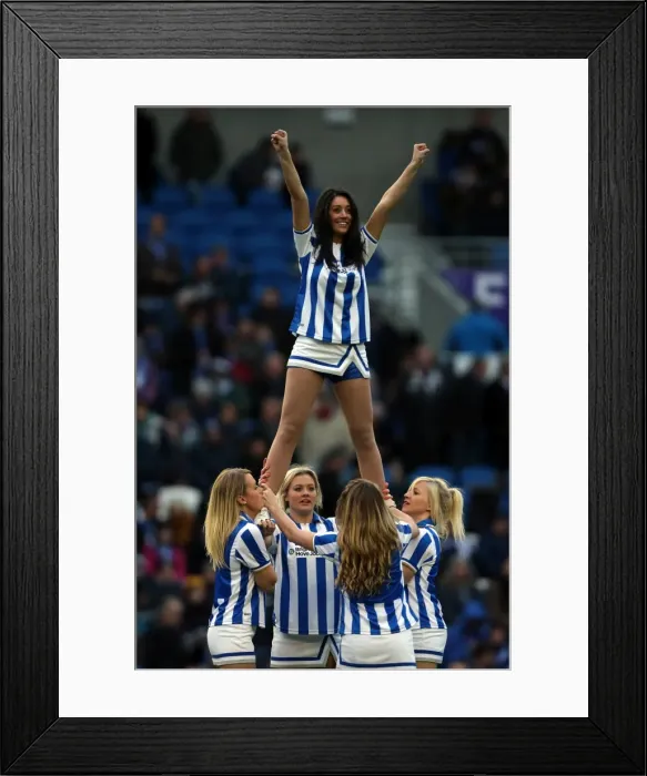 Framed Print : Brighton And Hove Albion Past Seasons: Season 2012-13: 2012-13 Home Games: Nottingham Forest - 15-12-2012 Framed Print : Brighton And Hove Albion Past Seasons: Season 2012-13: 2012-13 Home Games: Nottingham Forest - 15-12-2012