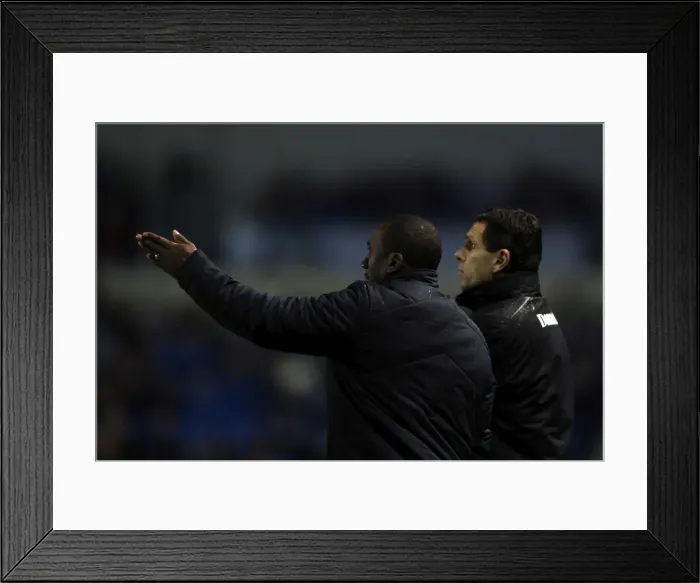 Framed Print : Brighton & Hove Albion vs. Nottingham Forest (15-12-2012): A Look Back at the 2012-13 Home Season Game Framed Print : Brighton & Hove Albion vs. Nottingham Forest (15-12-2012): A Look Back at the 2012-13 Home Season Game