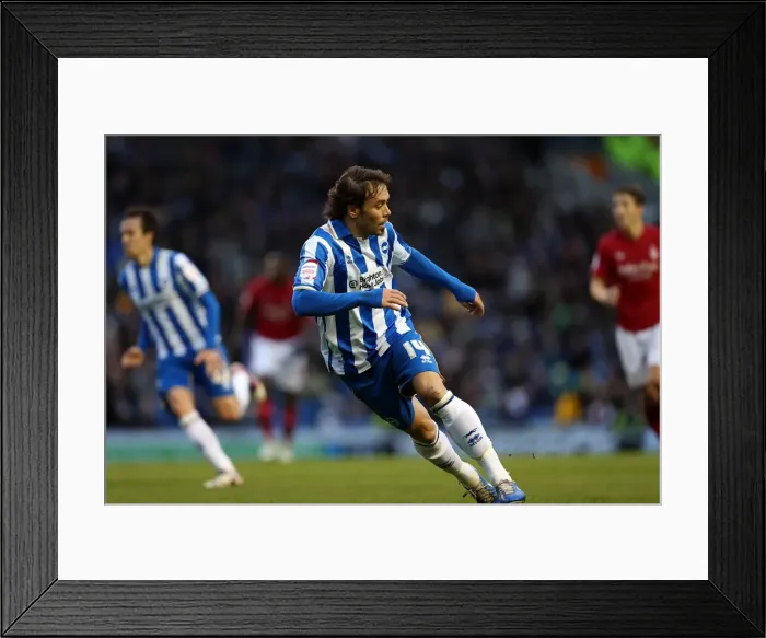 Framed Print : Brighton & Hove Albion 2012-13: Nottingham Forest Home Match