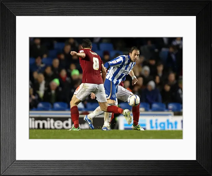 Framed Print : Brighton & Hove Albion vs. Nottingham Forest (15-12-2012): A Look Back at the 2012-13 Home Season - Nottingham Forest Game Framed Print : Brighton & Hove Albion vs. Nottingham Forest (15-12-2012): A Look Back at the 2012-13 Home Season - Nottingham Forest Game