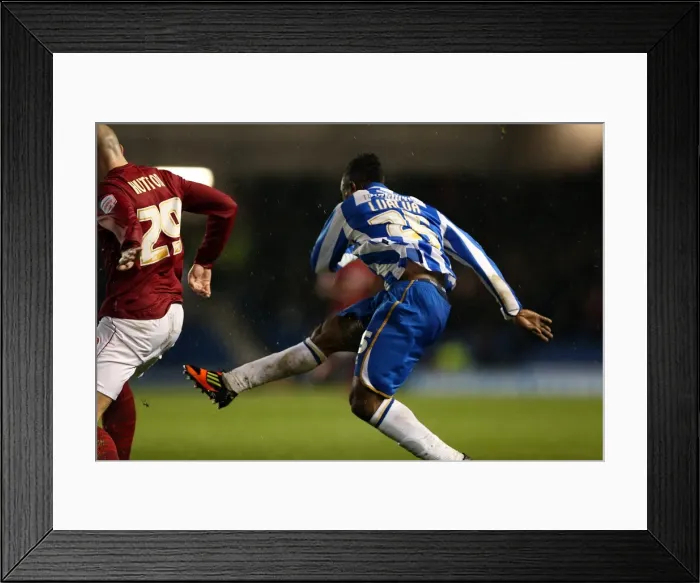 Framed Print : Brighton & Hove Albion: Nostalgia from the 2012-13 Season - Home Game vs. Nottingham Forest (December 15, 2012) Framed Print : Brighton & Hove Albion: Nostalgia from the 2012-13 Season - Home Game vs. Nottingham Forest (December 15, 2012)