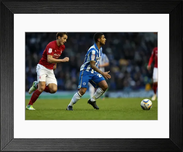 Framed Print : Brighton & Hove Albion vs. Nottingham Forest (15-12-2012) - A Glimpse into the 2012-13 Home Season Framed Print : Brighton & Hove Albion vs. Nottingham Forest (15-12-2012) - A Glimpse into the 2012-13 Home Season