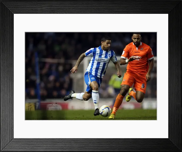 Framed Print : Brighton & Hove Albion's Liam Bridcutt in Action Against Millwall, December 18, 2012 Framed Print : Brighton & Hove Albion's Liam Bridcutt in Action Against Millwall, December 18, 2012