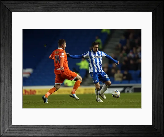 Framed Print : Brighton & Hove Albion vs Millwall, December 18, 2012: Wayne Bridge in the Amex Stadium Forest Framed Print : Brighton & Hove Albion vs Millwall, December 18, 2012: Wayne Bridge in the Amex Stadium Forest