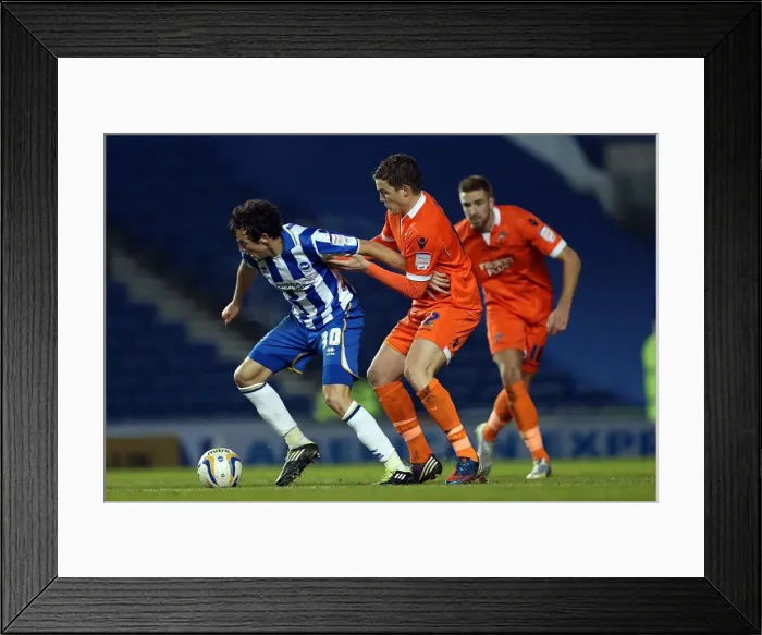 Framed Print : Brighton & Hove Albion's Will Buckley in Action against Millwall, December 18, 2012 Framed Print : Brighton & Hove Albion's Will Buckley in Action against Millwall, December 18, 2012
