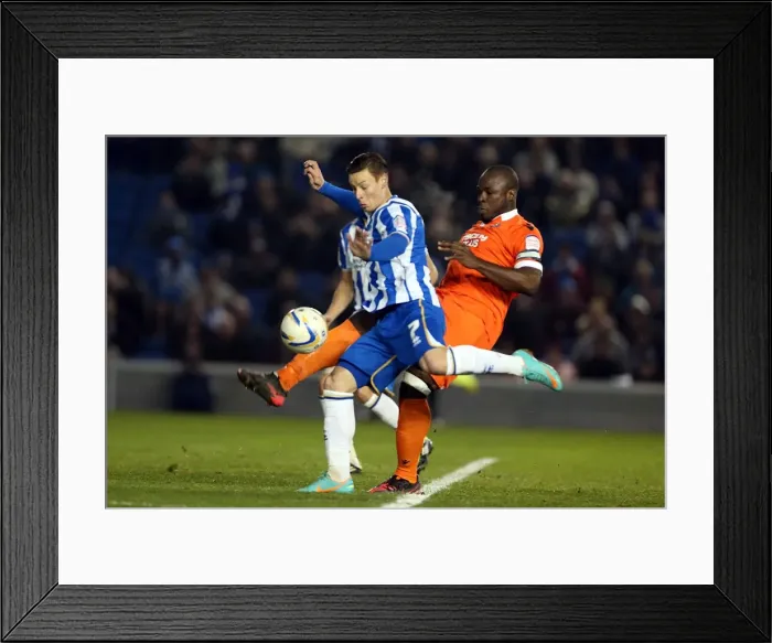 Framed Print : Brighton & Hove Albion's Will Hoskins Shoots Against Millwall in December 2012, Amex Stadium Framed Print : Brighton & Hove Albion's Will Hoskins Shoots Against Millwall in December 2012, Amex Stadium