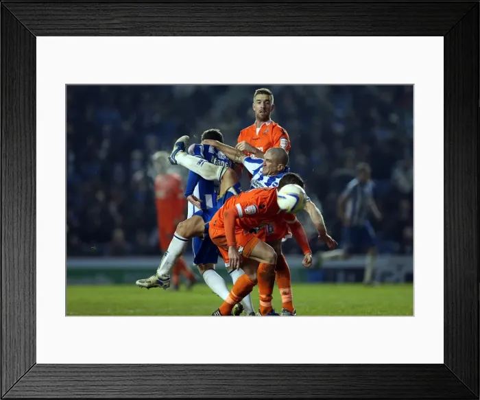 Framed Print : Brighton & Hove Albion's Adam El-Abd in Action Against Millwall, December 18, 2012 Framed Print : Brighton & Hove Albion's Adam El-Abd in Action Against Millwall, December 18, 2012