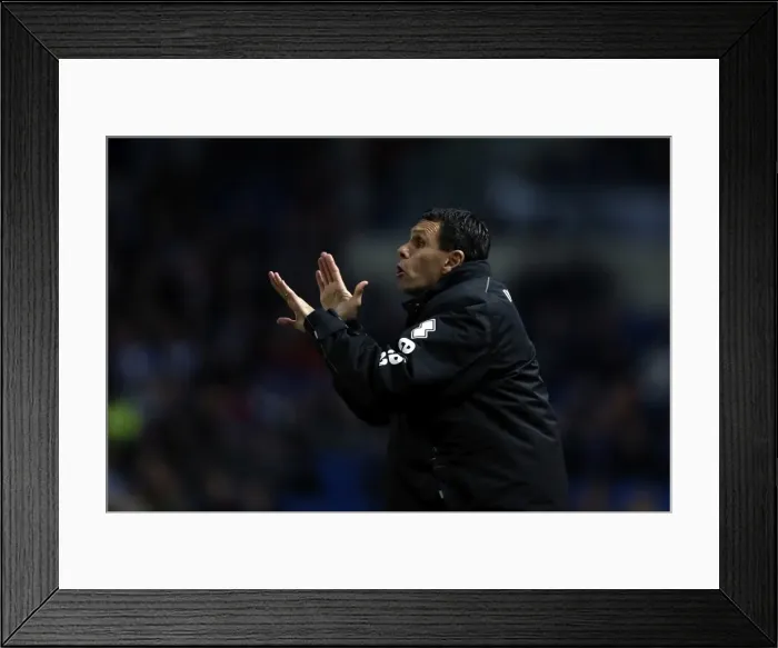 Framed Print : Gus Poyet Gives Instructions during Brighton & Hove Albion vs Millwall, December 18, 2012 Framed Print : Gus Poyet Gives Instructions during Brighton & Hove Albion vs Millwall, December 18, 2012