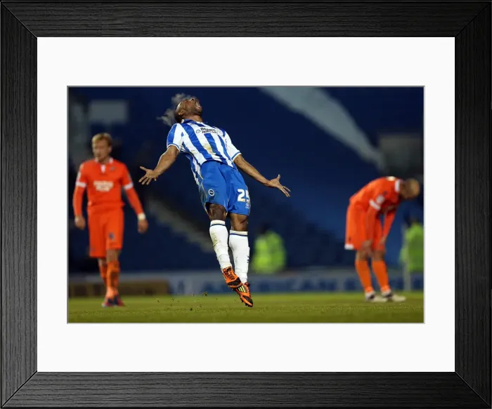 Framed Print : LuaLua's Goal: Brighton & Hove Albion Trail Behind Millwall in Npower Championship Clash (12-12-2012) Framed Print : LuaLua's Goal: Brighton & Hove Albion Trail Behind Millwall in Npower Championship Clash (12-12-2012)