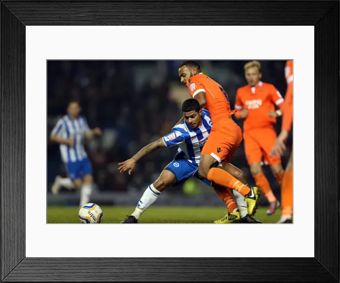 Framed Print : Brighton & Hove Albion vs Millwall: Liam Bridcutt Defends at Amex Stadium, December 18, 2012 Framed Print : Brighton & Hove Albion vs Millwall: Liam Bridcutt Defends at Amex Stadium, December 18, 2012