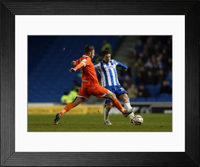 Framed Print : Wayne Bridge in Brighton Forest: Brighton & Hove Albion vs Millwall, December 18, 2012 (Npower Championship, Amex Stadium) Framed Print : Wayne Bridge in Brighton Forest: Brighton & Hove Albion vs Millwall, December 18, 2012 (Npower Championship, Amex Stadium)