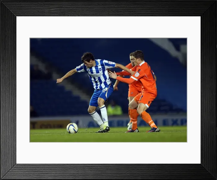 Framed Print : Will Buckley in Action: Brighton & Hove Albion vs. Millwall, December 18, 2012 Framed Print : Will Buckley in Action: Brighton & Hove Albion vs. Millwall, December 18, 2012