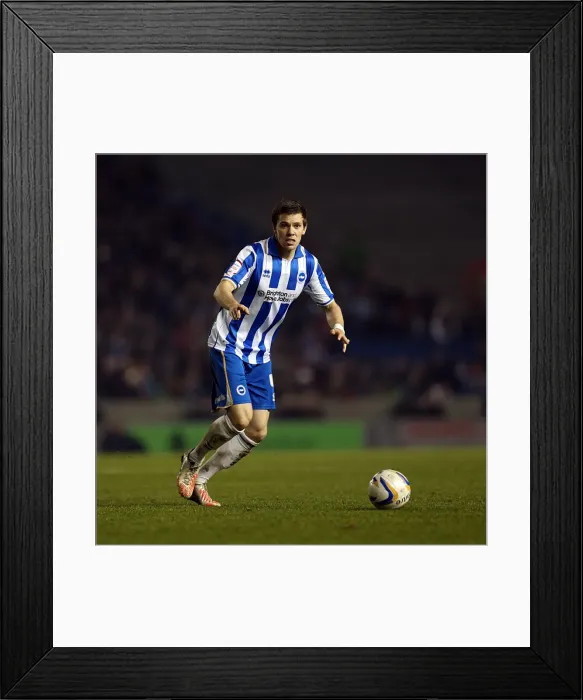 Framed Print : Brighton & Hove Albion's Dean Hammond in the Midst of Brighton Forest during Millwall Match, Amex Stadium, December 18, 2012 Framed Print : Brighton & Hove Albion's Dean Hammond in the Midst of Brighton Forest during Millwall Match, Amex Stadium, December 18, 2012
