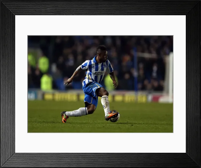 Framed Print : Brighton & Hove Albion's Kazenga LuaLua Amidst the Forest of Amex Stadium (Millwall vs. Brighton, 18-12-2012) Framed Print : Brighton & Hove Albion's Kazenga LuaLua Amidst the Forest of Amex Stadium (Millwall vs. Brighton, 18-12-2012)