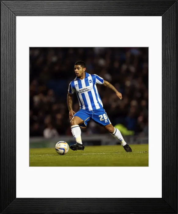 Framed Print : Brighton & Hove Albion's Liam Bridcutt Amidst the Forest: Brighton v Millwall, December 18, 2012 Framed Print : Brighton & Hove Albion's Liam Bridcutt Amidst the Forest: Brighton v Millwall, December 18, 2012