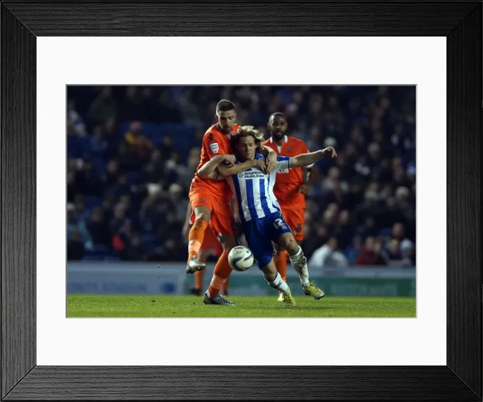 Framed Print : Brighton & Hove Albion vs Millwall: A Championship Showdown (Dec. 18, 2012) Framed Print : Brighton & Hove Albion vs Millwall: A Championship Showdown (Dec. 18, 2012)