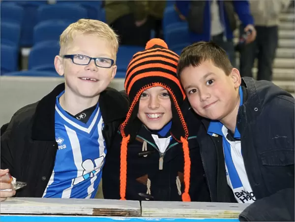 Brighton & Hove Albion: Electric Atmosphere at The Amex (2012-2013) - Unforgettable Crowd Moments