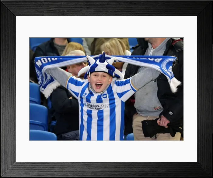 Framed Print : Brighton & Hove Albion: The Electric Amex Stadium Crowd (2012-2013) Framed Print : Brighton & Hove Albion: The Electric Amex Stadium Crowd (2012-2013)