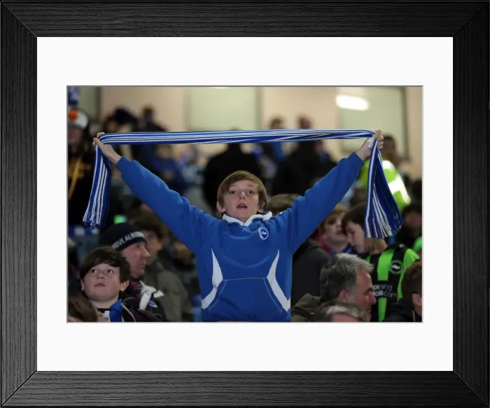 Framed Print : Brighton & Hove Albion FC: Electric Atmosphere at the Amex Stadium (2012-2013) - Crowd Shots Framed Print : Brighton & Hove Albion FC: Electric Atmosphere at the Amex Stadium (2012-2013) - Crowd Shots