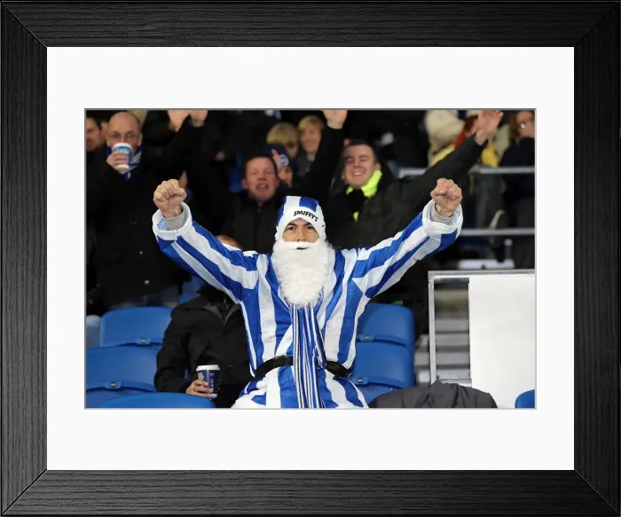 Framed Print : Brighton & Hove Albion: The Electric Atmosphere of The Amex (2012-2013) - Unforgettable Crowd Moments Framed Print : Brighton & Hove Albion: The Electric Atmosphere of The Amex (2012-2013) - Unforgettable Crowd Moments