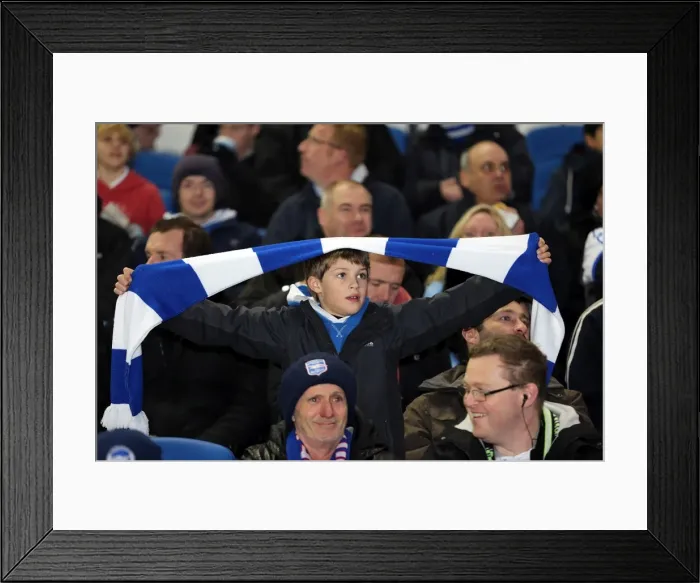 Framed Print : Brighton & Hove Albion vs Millwall: A Championship Showdown (December 18, 2012) Framed Print : Brighton & Hove Albion vs Millwall: A Championship Showdown (December 18, 2012)