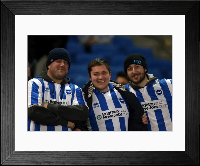 Framed Print : Brighton & Hove Albion FC: Electric Atmosphere at the Amex (2012-2013) Framed Print : Brighton & Hove Albion FC: Electric Atmosphere at the Amex (2012-2013)