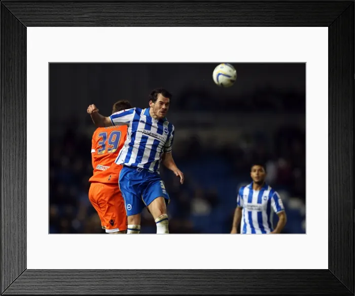 Framed Print : Brighton & Hove Albion vs Millwall: A Championship Showdown (December 18, 2012) Framed Print : Brighton & Hove Albion vs Millwall: A Championship Showdown (December 18, 2012)