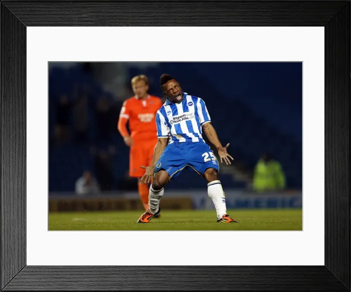 Framed Print : Brighton & Hove Albion vs Millwall: A Championship Showdown (December 18, 2012) Framed Print : Brighton & Hove Albion vs Millwall: A Championship Showdown (December 18, 2012)