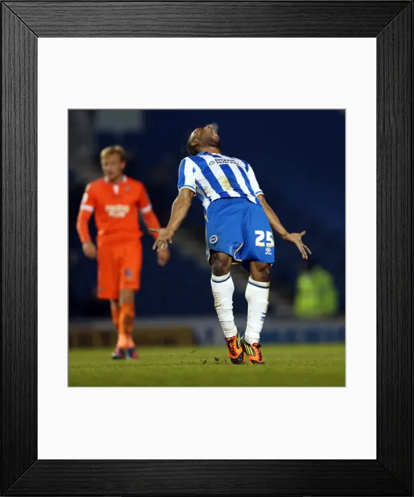 Framed Print : Brighton & Hove Albion vs Millwall: A Championship Showdown (December 18, 2012) Framed Print : Brighton & Hove Albion vs Millwall: A Championship Showdown (December 18, 2012)