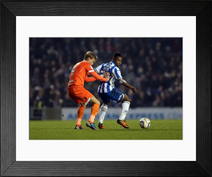 Framed Print : Brighton And Hove Albion Past Seasons: Season 2012-13: 2012-13 Home Games: Millwall - 18-12-2012