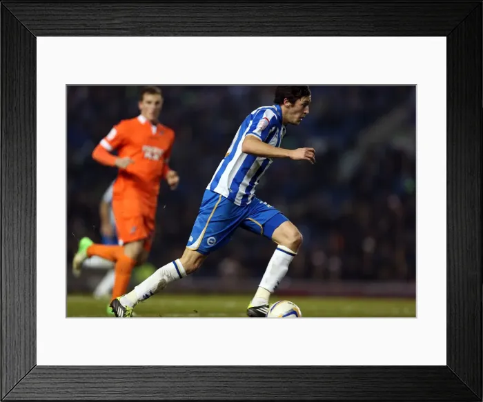 Framed Print : Brighton & Hove Albion vs Millwall: A Championship Showdown (December 18, 2012) Framed Print : Brighton & Hove Albion vs Millwall: A Championship Showdown (December 18, 2012)