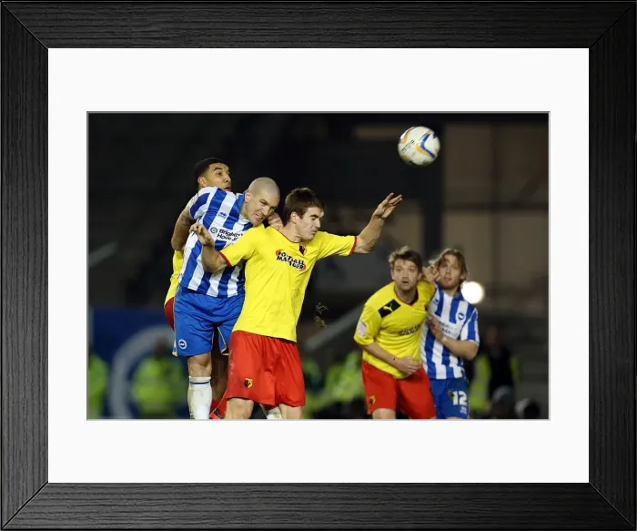 Framed Print : Adam El-Abd Goes for Glory: Brighton & Hove Albion vs. Watford, December 29, 2012 Framed Print : Adam El-Abd Goes for Glory: Brighton & Hove Albion vs. Watford, December 29, 2012
