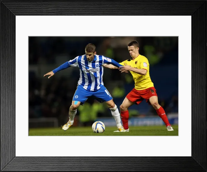 Framed Print : Andrea Orlandi Fends Off Challenge: Brighton & Hove Albion vs Watford, December 29, 2012 Framed Print : Andrea Orlandi Fends Off Challenge: Brighton & Hove Albion vs Watford, December 29, 2012