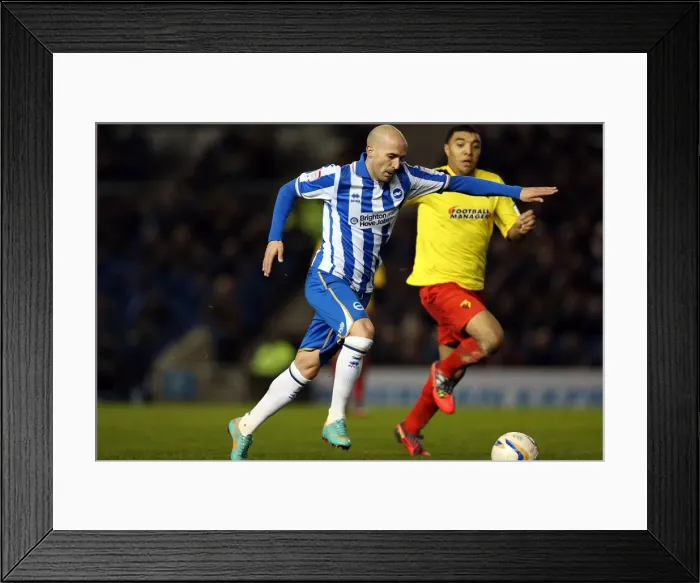 Framed Print : Bruno Saltor in Action: Brighton & Hove Albion vs. Watford, Npower Championship, Amex Stadium, December 29, 2012 Framed Print : Bruno Saltor in Action: Brighton & Hove Albion vs. Watford, Npower Championship, Amex Stadium, December 29, 2012