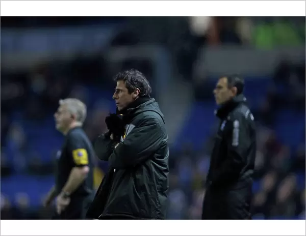 Gianfranco Zola and Gus Poyet Face-Off: Brighton & Hove Albion vs. Watford, December 29, 2012